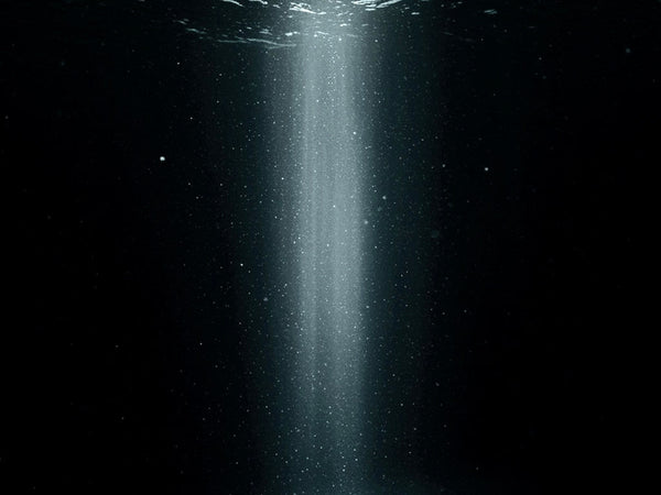 1,921 Metres: The deepest Elliot Brown Holton ever